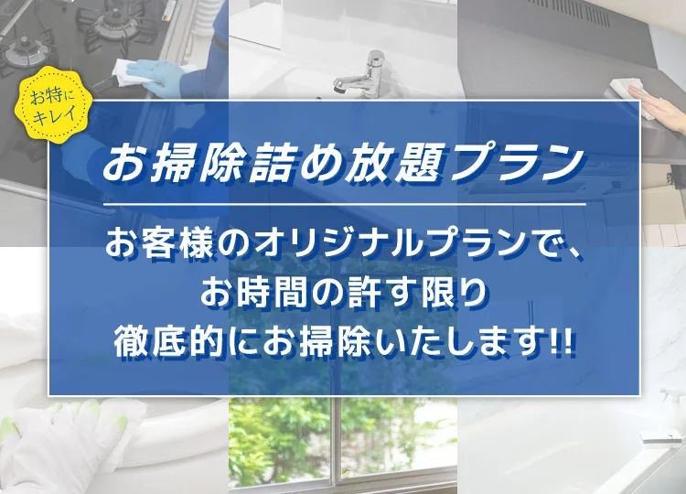 お掃除詰め放題プラン